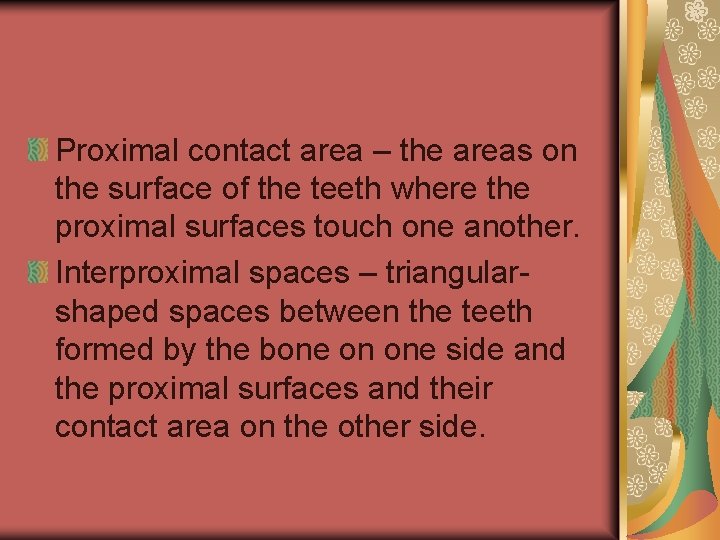 Proximal contact area – the areas on the surface of the teeth where the