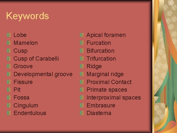 Keywords Lobe Mamelon Cusp of Carabelli Groove Developmental groove Fissure Pit Fossa Cingulum Endentulous