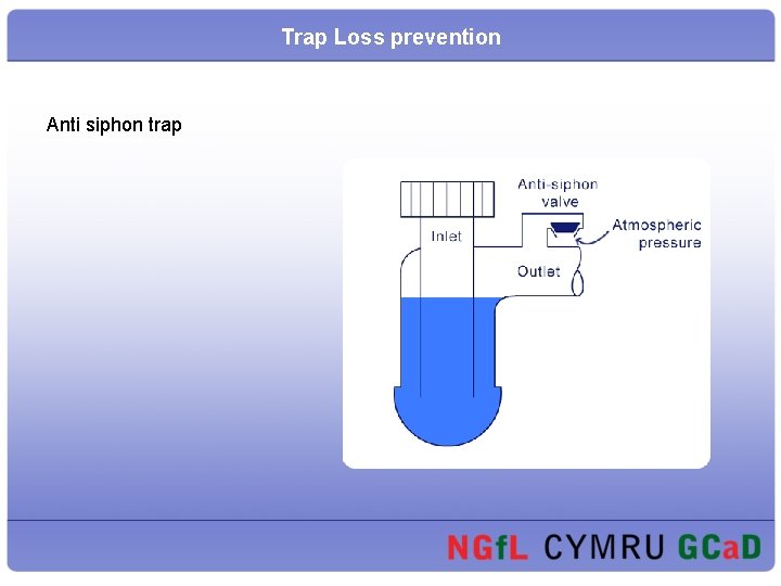 Trap Loss prevention Anti siphon trap 