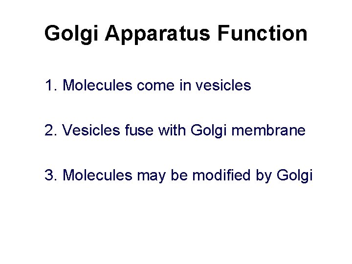 Golgi Apparatus Function 1. Molecules come in vesicles 2. Vesicles fuse with Golgi membrane