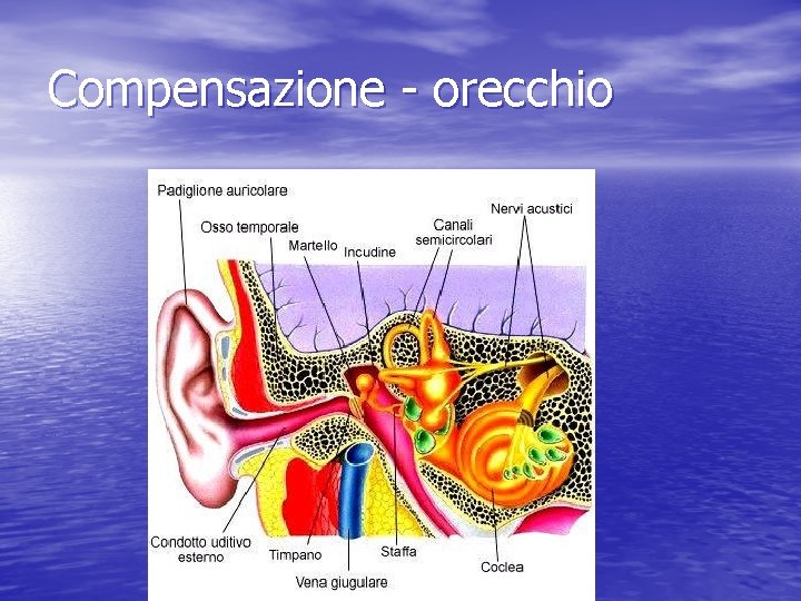 Compensazione - orecchio 