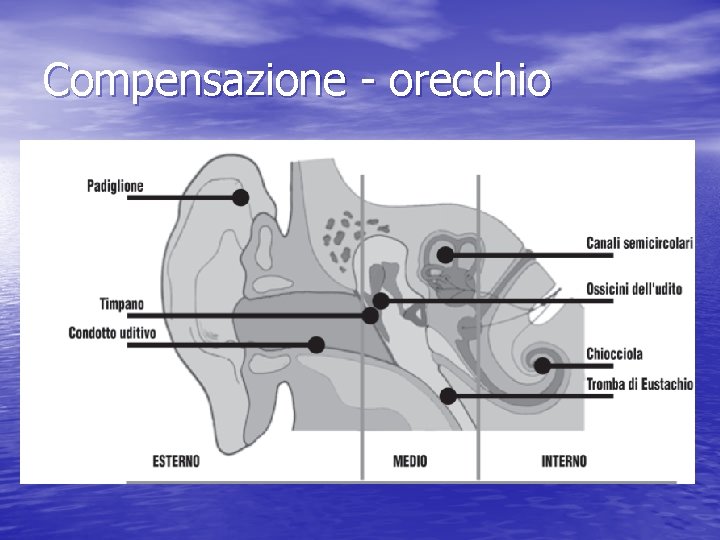 Compensazione - orecchio 