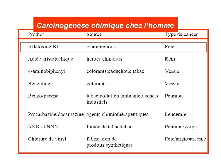 Carcinogenèse chimique chez l’homme 