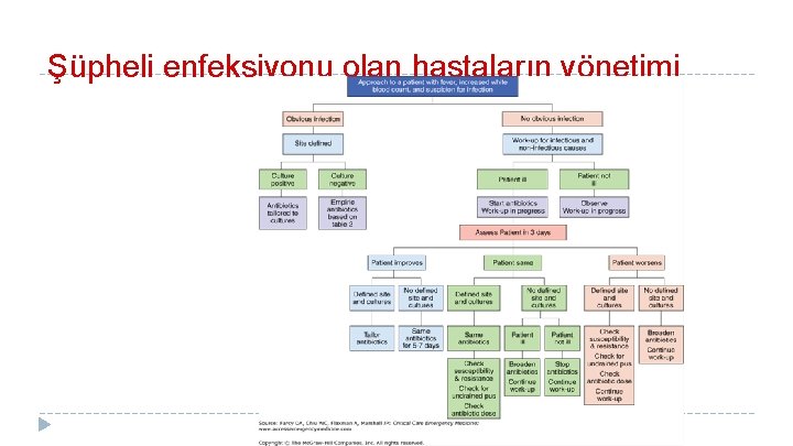 Şüpheli enfeksiyonu olan hastaların yönetimi 