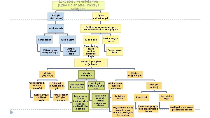 Lökositozu ve enfeksiyon şüphesi olan ateşli hastaya yaklaşım Belirgin enfeksiyon (+) Aşikar enfeksiyon yok