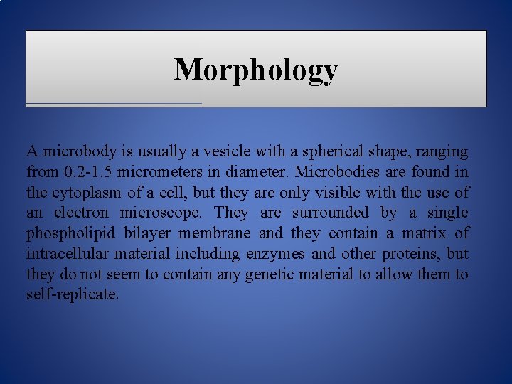 Morphology A microbody is usually a vesicle with a spherical shape, ranging from 0.