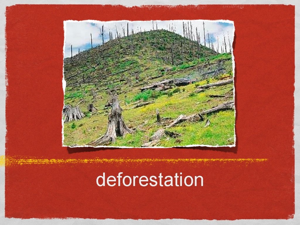 deforestation 