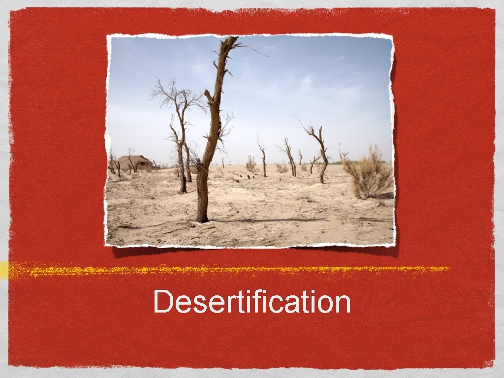 Desertification 