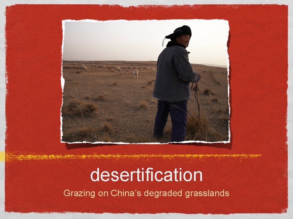 desertification Grazing on China’s degraded grasslands 