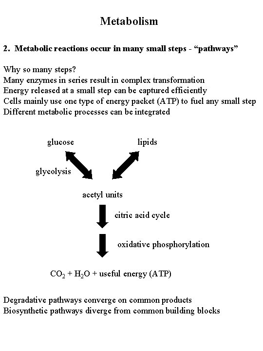 Metabolism 2. Metabolic reactions occur in many small steps - “pathways” Why so many