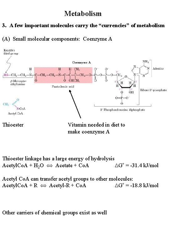 Metabolism 3. A few important molecules carry the “currencies” of metabolism (A) Small molecular