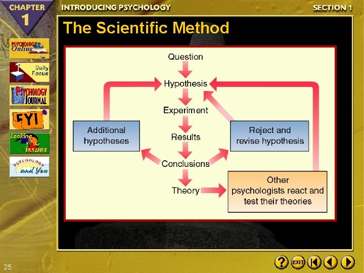 The Scientific Method 25 