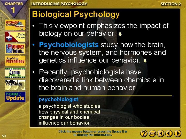 Biological Psychology • This viewpoint emphasizes the impact of biology on our behavior. •