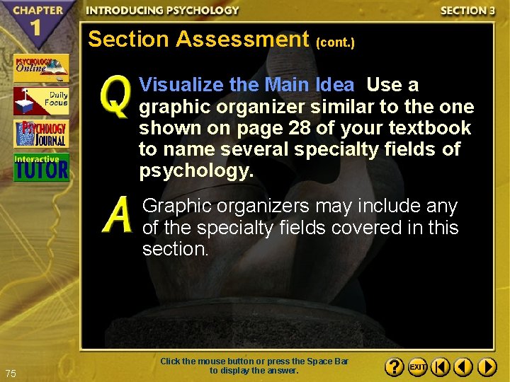 Section Assessment (cont. ) Visualize the Main Idea Use a graphic organizer similar to