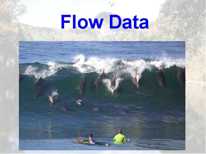 Flow Data 
