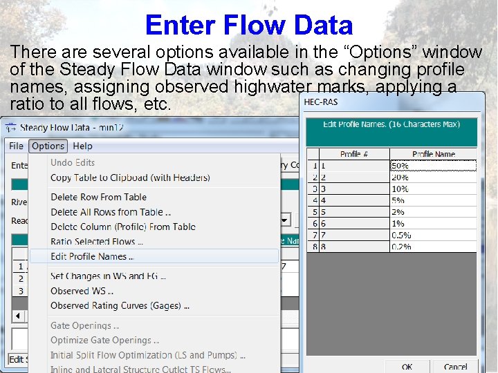 Enter Flow Data There are several options available in the “Options” window of the