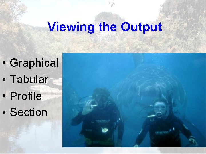 Viewing the Output • • Graphical Tabular Profile Section 
