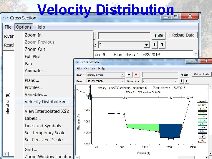 Velocity Distribution 