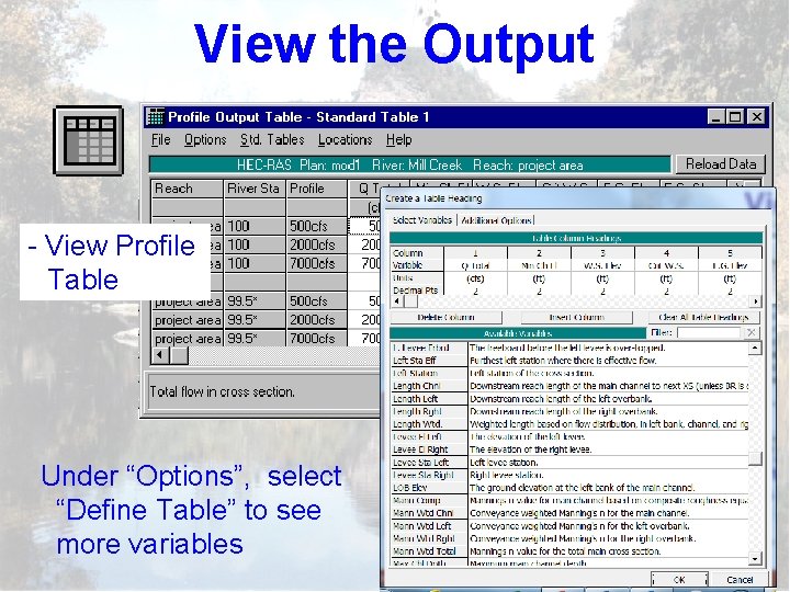 View the Output - View Profile Table Under “Options”, select “Define Table” to see