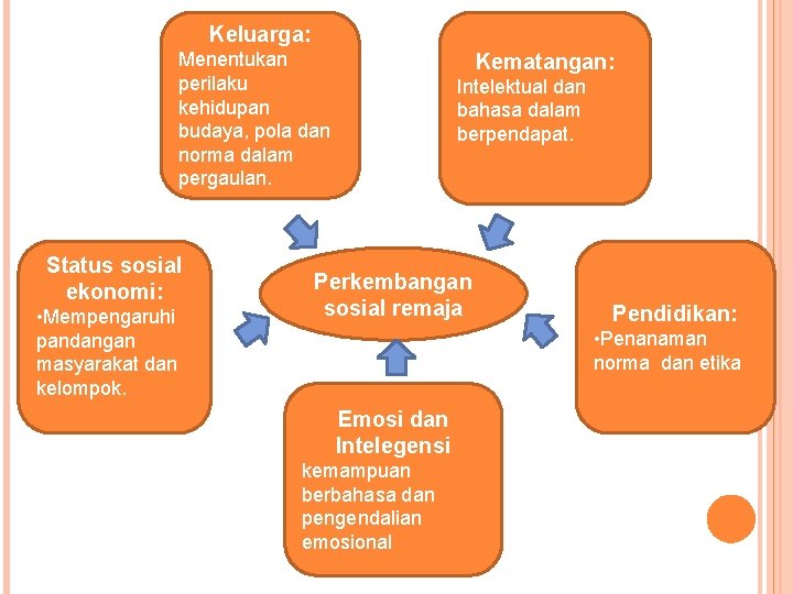 Keluarga: Menentukan perilaku kehidupan budaya, pola dan norma dalam pergaulan. Status sosial ekonomi: •