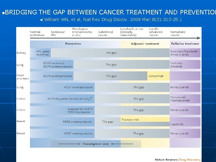 BRIDGING THE GAP BETWEEN CANCER TREATMENT AND PREVENTION n n(William WN, et al, Nat