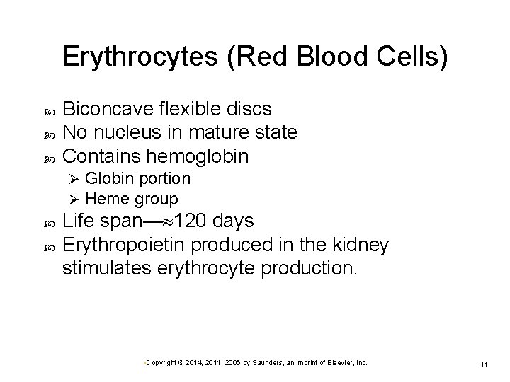 Erythrocytes (Red Blood Cells) Biconcave flexible discs No nucleus in mature state Contains hemoglobin