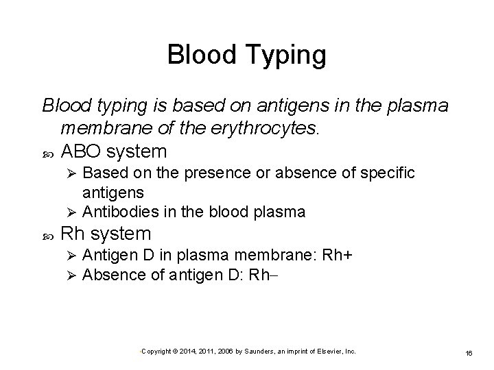 Blood Typing Blood typing is based on antigens in the plasma membrane of the