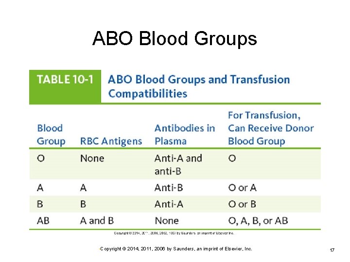 ABO Blood Groups • Copyright © 2014, 2011, 2006 by Saunders, an imprint of