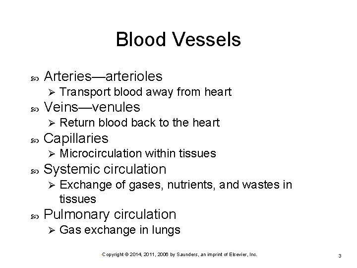 Blood Vessels Arteries—arterioles Ø Veins—venules Ø Microcirculation within tissues Systemic circulation Ø Return blood