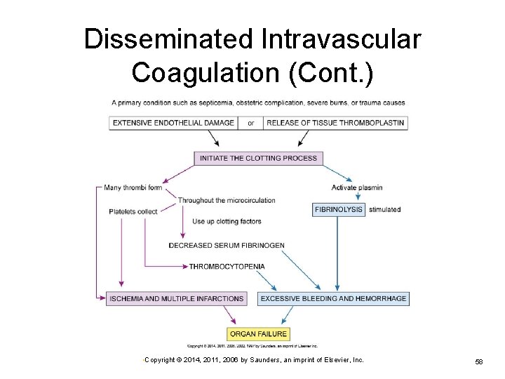 Disseminated Intravascular Coagulation (Cont. ) • Copyright © 2014, 2011, 2006 by Saunders, an