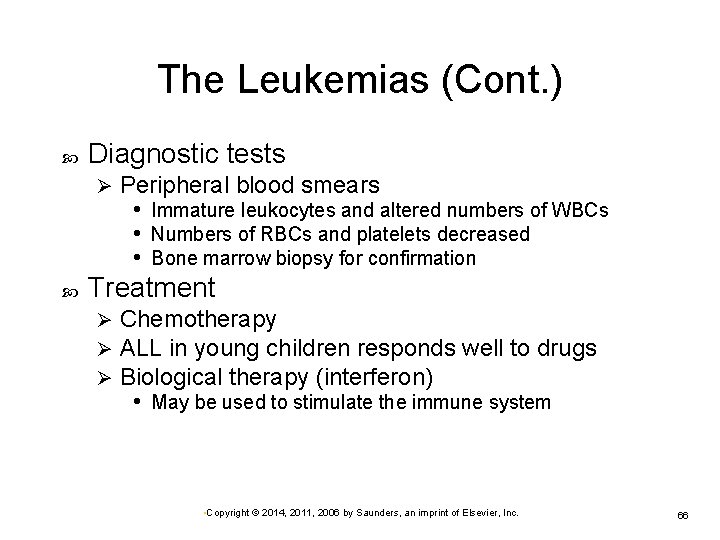 The Leukemias (Cont. ) Diagnostic tests Ø Peripheral blood smears • Immature leukocytes and