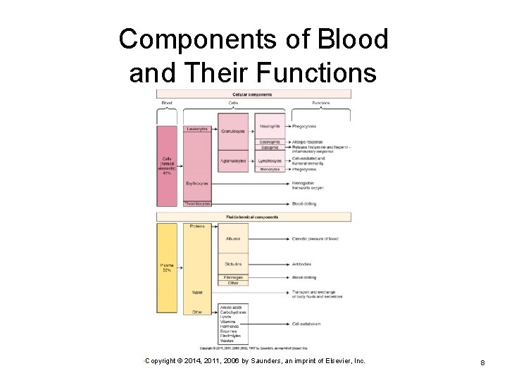 Components of Blood and Their Functions • Copyright © 2014, 2011, 2006 by Saunders,