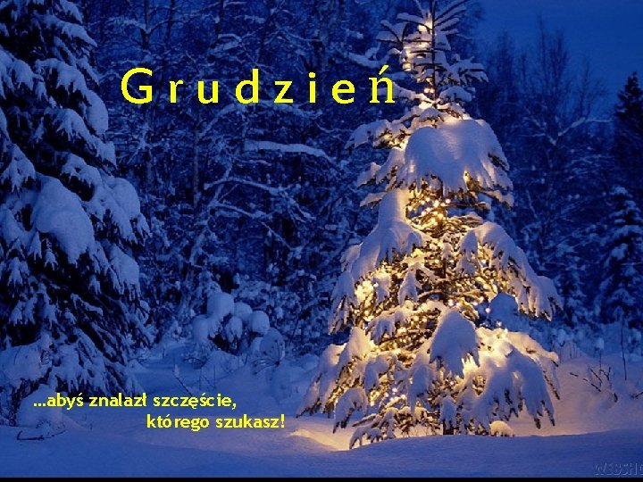 Grudzień …abyś znalazł szczęście, którego szukasz! 