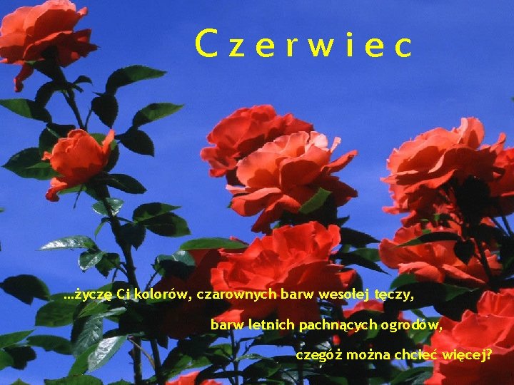 Czerwiec …życzę Ci kolorów, czarownych barw wesołej tęczy, barw letnich pachnących ogrodów, czegóż można