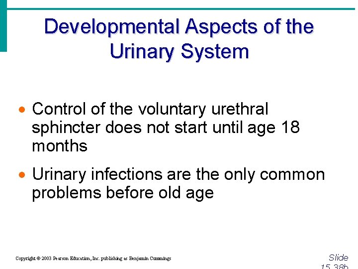 Developmental Aspects of the Urinary System · Control of the voluntary urethral sphincter does