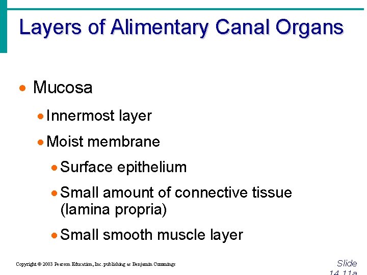 Layers of Alimentary Canal Organs · Mucosa · Innermost layer · Moist membrane ·