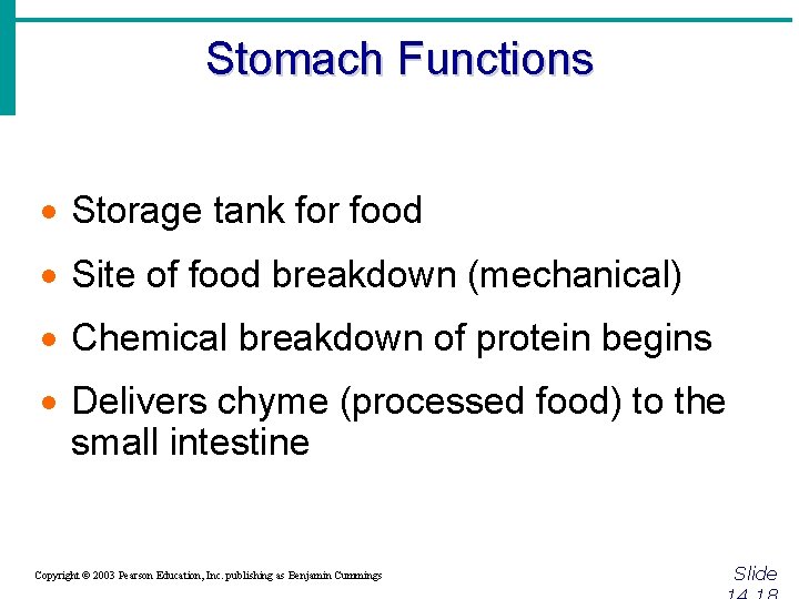 Stomach Functions · Storage tank for food · Site of food breakdown (mechanical) ·