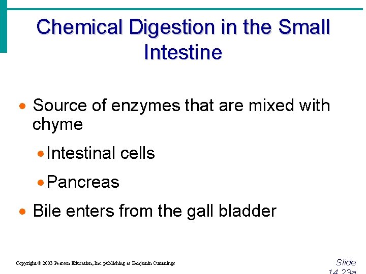 Chemical Digestion in the Small Intestine · Source of enzymes that are mixed with