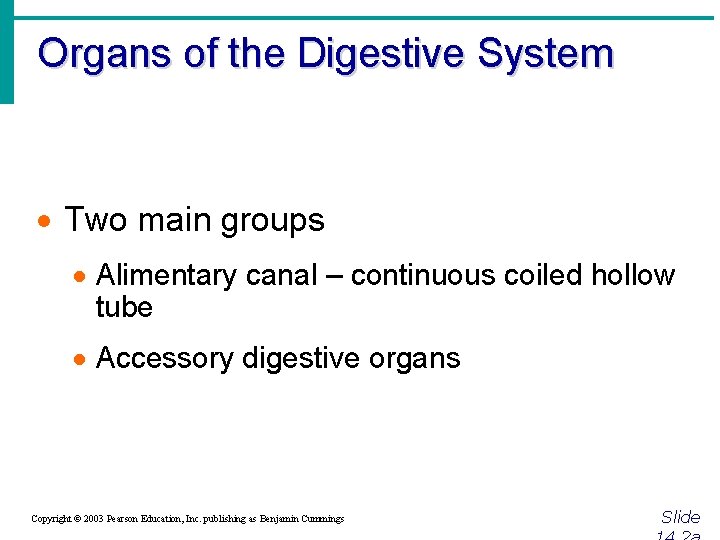 Organs of the Digestive System · Two main groups · Alimentary canal – continuous