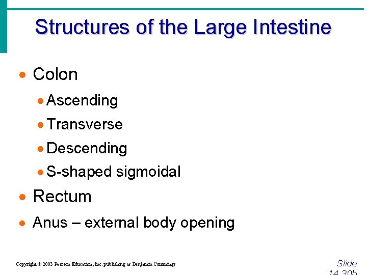 Structures of the Large Intestine · Colon · Ascending · Transverse · Descending ·