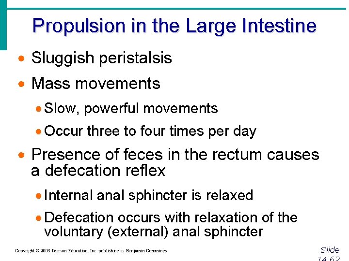 Propulsion in the Large Intestine · Sluggish peristalsis · Mass movements · Slow, powerful