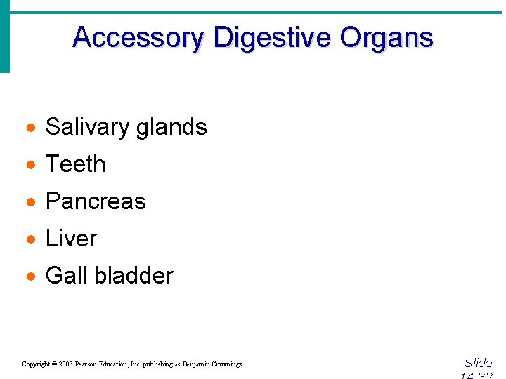 Accessory Digestive Organs · Salivary glands · Teeth · Pancreas · Liver · Gall