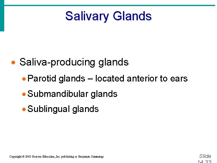 Salivary Glands · Saliva-producing glands · Parotid glands – located anterior to ears ·