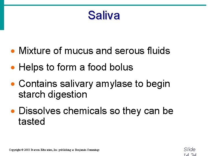 Saliva · Mixture of mucus and serous fluids · Helps to form a food