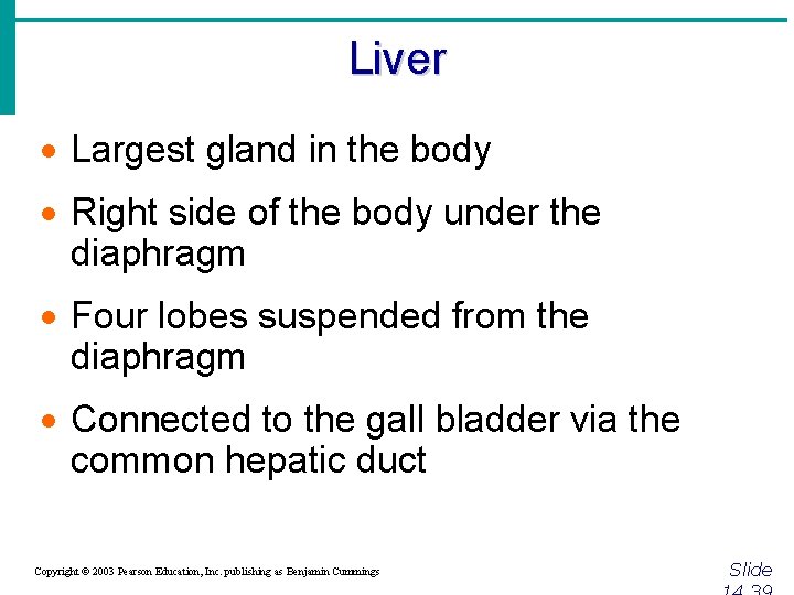 Liver · Largest gland in the body · Right side of the body under