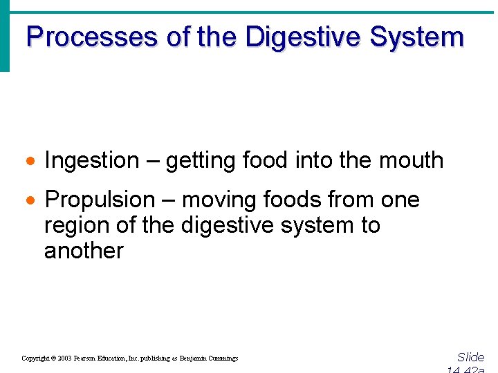 Processes of the Digestive System · Ingestion – getting food into the mouth ·