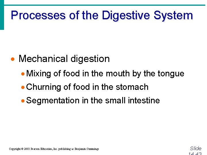 Processes of the Digestive System · Mechanical digestion · Mixing of food in the