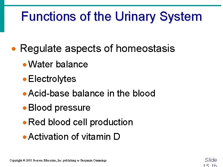 Functions of the Urinary System · Regulate aspects of homeostasis · Water balance ·