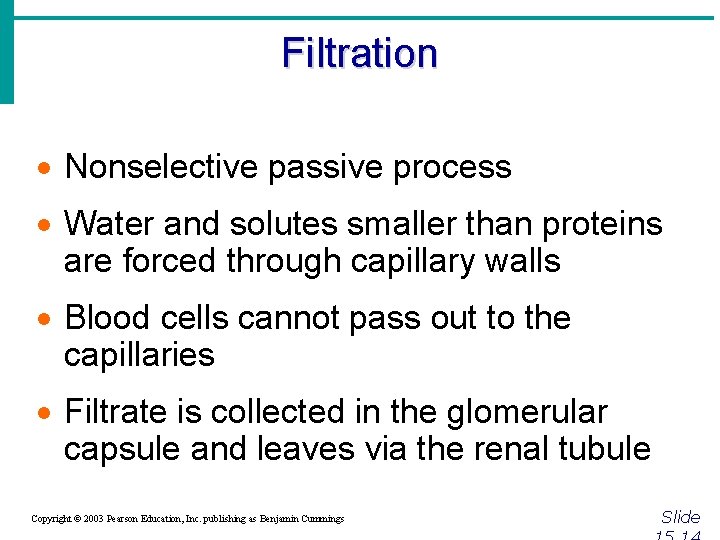 Filtration · Nonselective passive process · Water and solutes smaller than proteins are forced