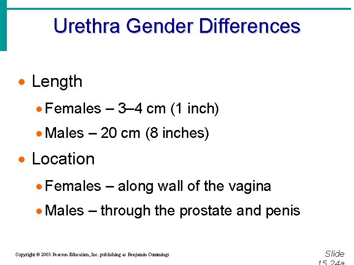 Urethra Gender Differences · Length · Females – 3– 4 cm (1 inch) ·